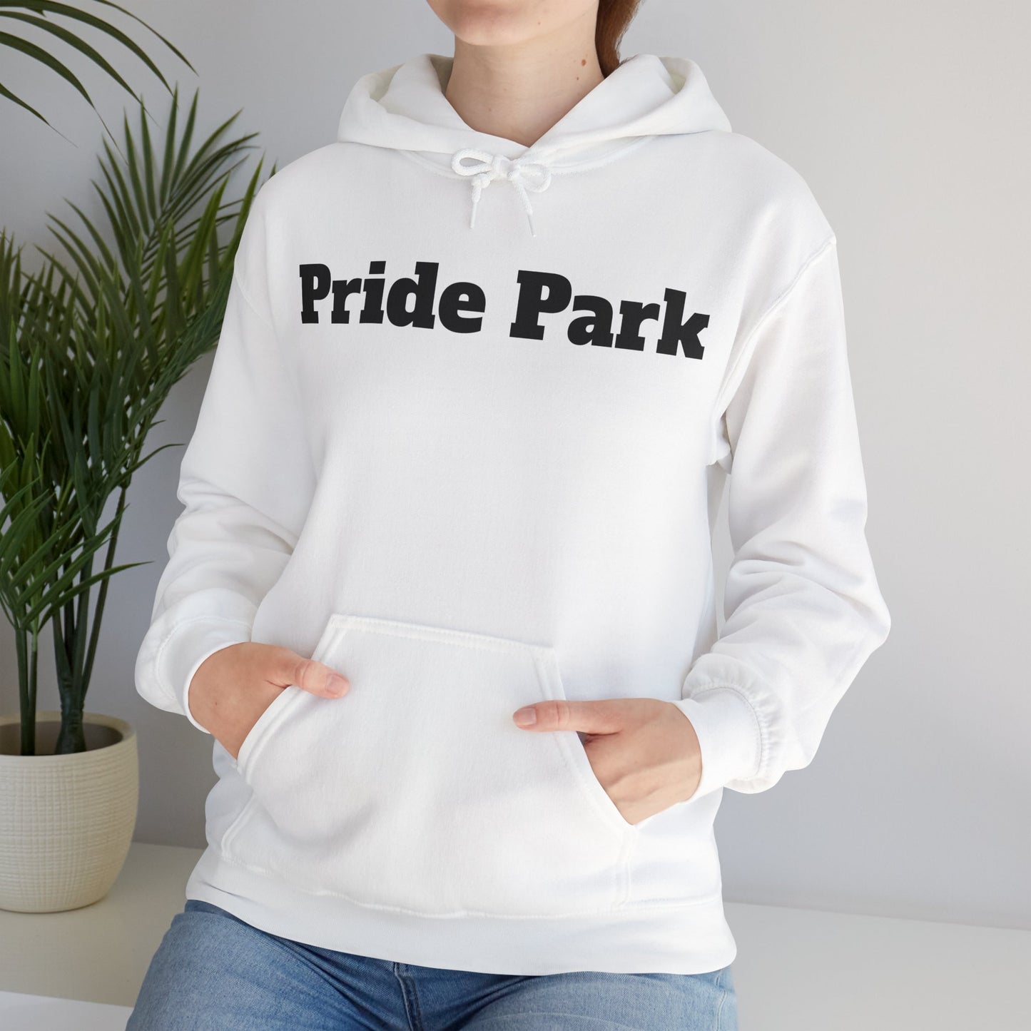 Pride Park Hooded Sweatshirt