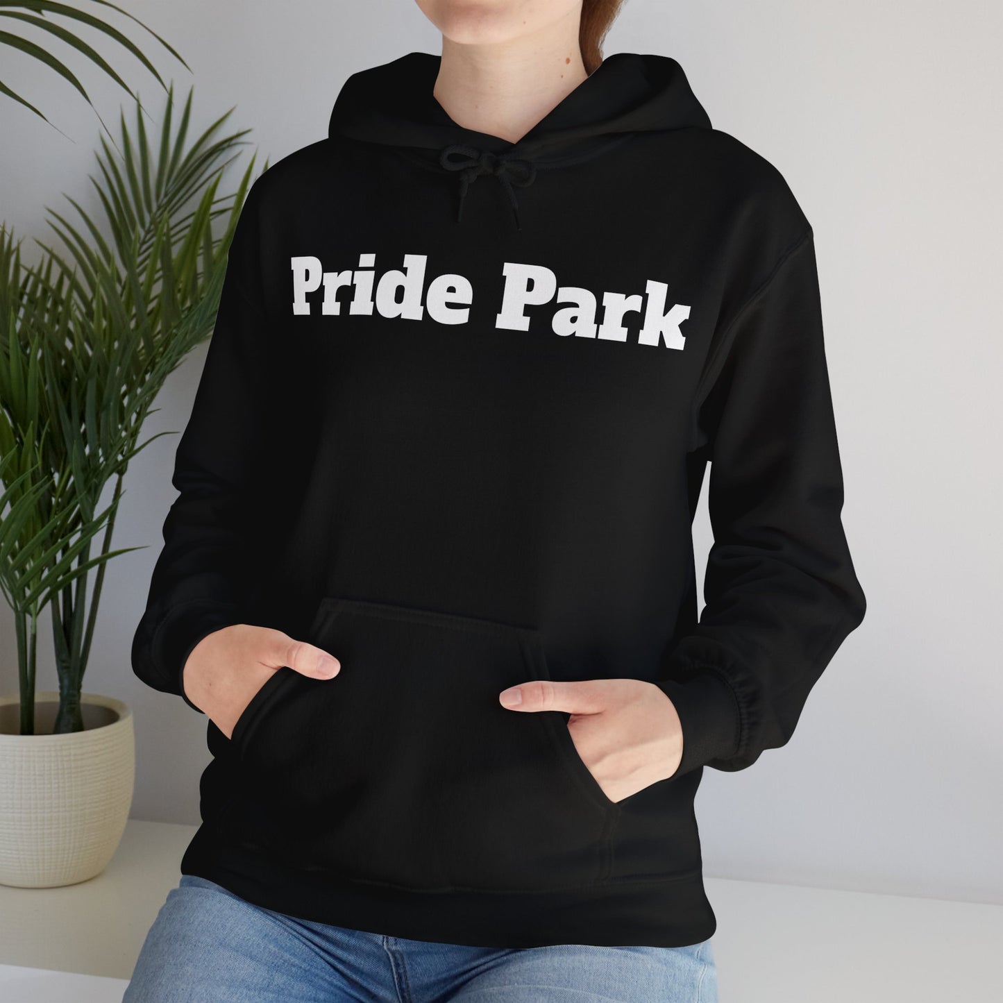 Pride Park Hooded Sweatshirt